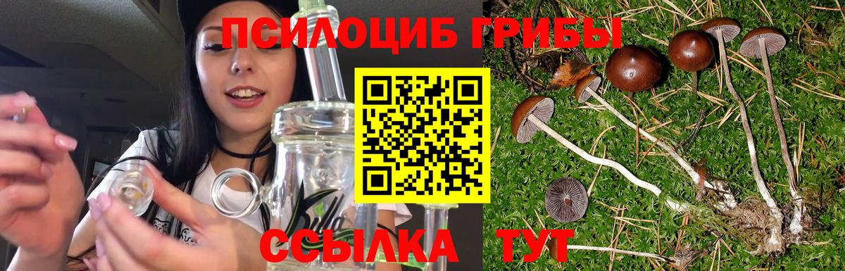 цена наркотик  Псилоцибиновые грибы GOLDEN TEACHER  Вход с VPN  Псилоцибиновые грибы GOLDEN TEACHER  Партизанск 